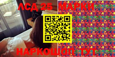 индика Чебоксары