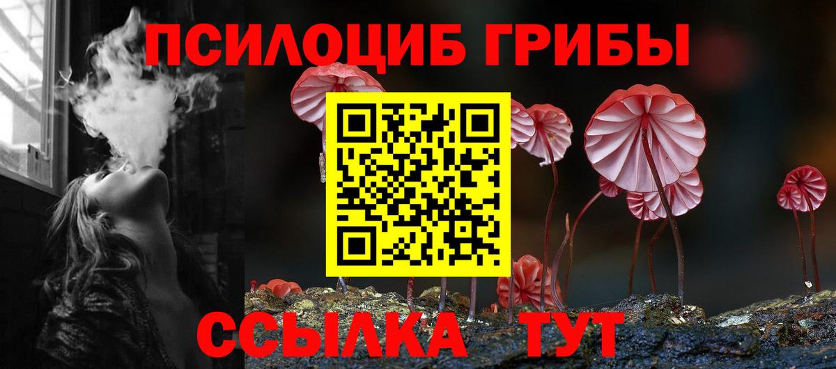 Псилоцибиновые грибы ЛСД  Вход с VPN  Новый Уренгой  Псилоцибиновые грибы мицелий 